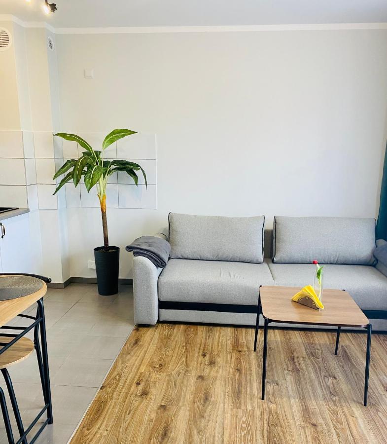 Apartamenty Teatralne Ґожув-Велькопольський Екстер'єр фото